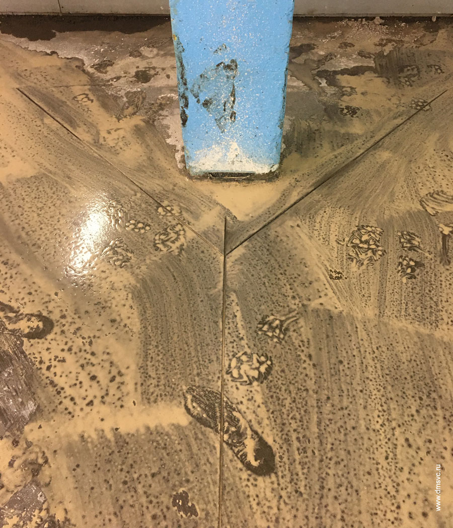 ���� ������������� ������������ ���� � �������� ���� ����� �������